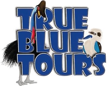 True Blue Tours - Logo