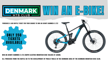 Avanti Hammer-E LT2-25kph Electric Mountain Bike - Hero Image