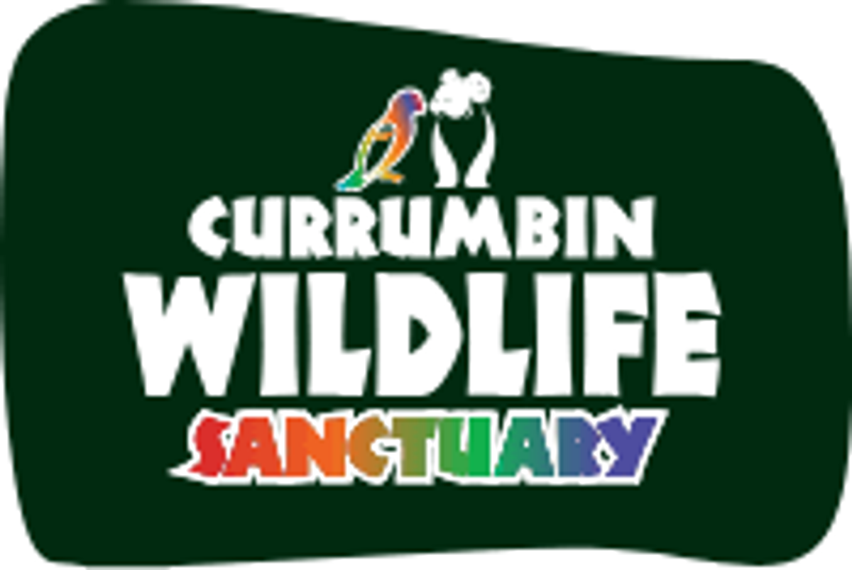 Currumbin Wildlife Sanctuary - 4 General Entry Tickets - Hero image