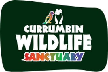 Currumbin Wildlife Sanctuary - 4 General Entry Tickets - Hero Image