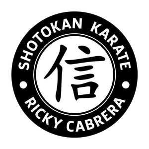 Karate Lessons by Ricki Karate School - Hero Image