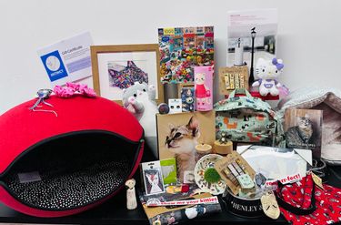 Cat Lovers Hamper - Hero Image