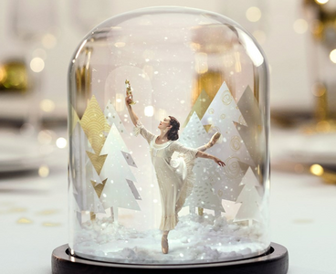 QPAC Gift Voucher - Hero Image