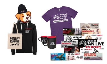 AJP Merch Pack! - Hero Image