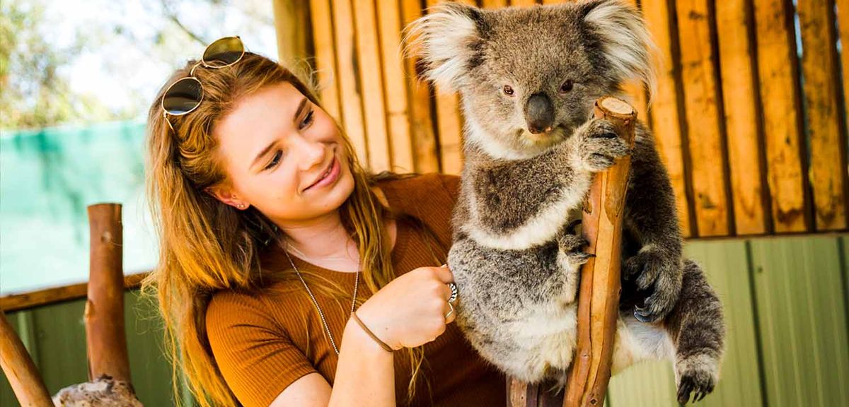 Caversham Wildlife Park Family Pass - Hero image