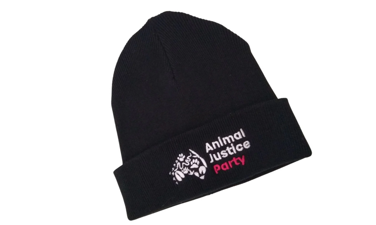 AJP Organic Cotton Beanie - Hero image