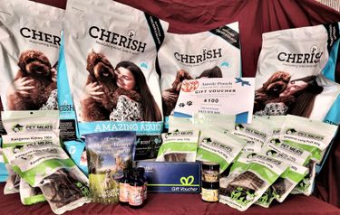 Doggy Goodies Bonanza - Hero Image