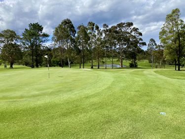 18 Holes of Golf for 4 People + Citrus Grill Voucher + PING Traverse 244 Cart Bag - Hero Image