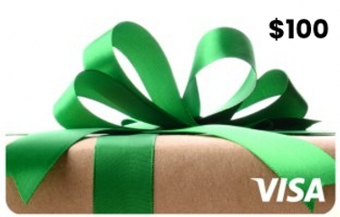 $100 Visa Gift Card - Hero Image