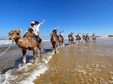 Family Camel Ride - Hero Image