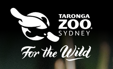 Taronga Zoo - Hero Image
