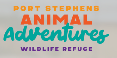 Port Stephens Animal Adventures - Hero Image
