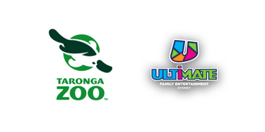 Family Entertainment Pack - Hero Image