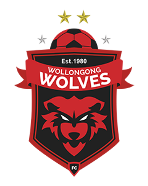 Wollongong Wolves Football Club