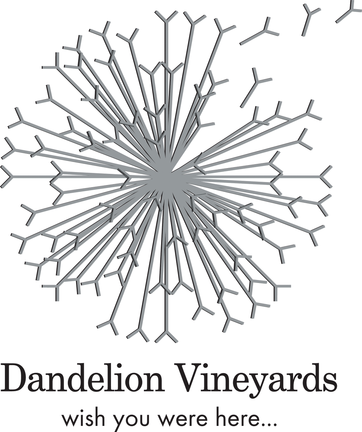 Dandelion Vineyards, McLaren Vale - Mixed Half Dozen Bottles of Wine - Hero image