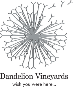 Dandelion Vineyards, McLaren Vale - Mixed Half Dozen Bottles of Wine - Hero Image
