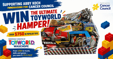 Ultimate Toyworld Hamper - Hero Image