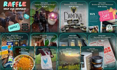 Prize Bundle - Hero Image