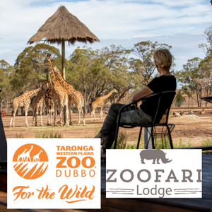 Zoofari Lodge stay at Tarong Western Plains Zoo in Dubbo - Hero Image