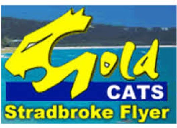 Stradbroke Flyer Gold Cats