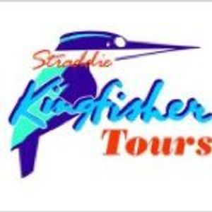 Straddie Kingfisher Tours - Logo