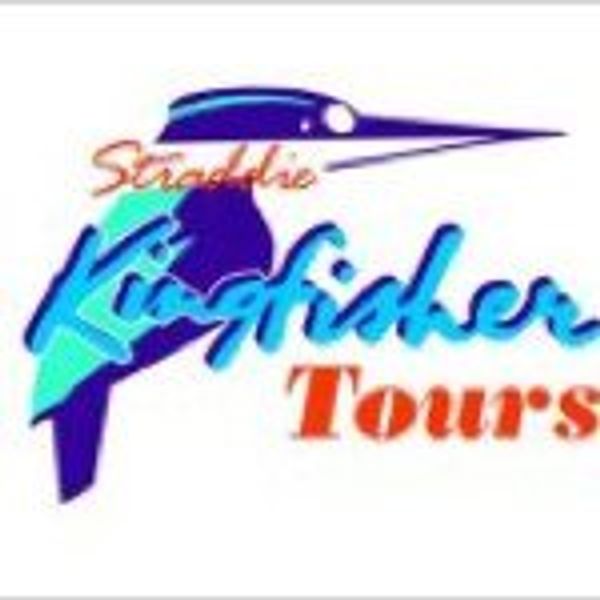 Straddie Kingfisher Tours