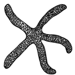 Starfish Studio - Logo