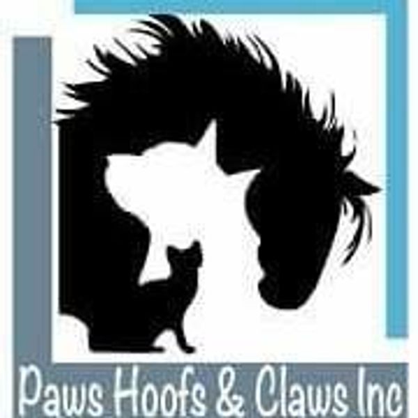 Paws Hoofs and Claws, Mount Isa