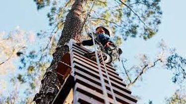 Busselton Adventure - Hero Image