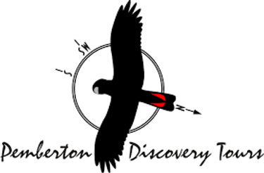 Pemberton Discovery Tours - Logo