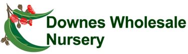 Downes Wholesale Nursery - Logo