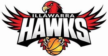 Illawarra Hawks Family Ruby Pass - Hero Image