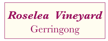 Roselea Vineyard Gerringong Bottle of Wine - Hero Image