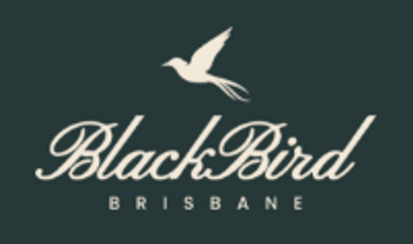 Blackbird Brisbane