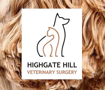 HIGHATE HILL VETERINARY SURGERY - Logo