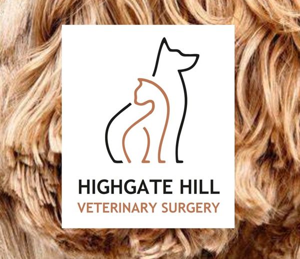 HIGHATE HILL VETERINARY SURGERY