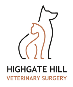 4 Paws - Hero Image