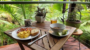 A Relaxing Rainforest Getaway in Montville - Hero Image