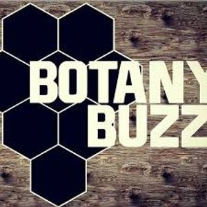 Botany Buzz: Soft Serve/ Slushie x 2 - Hero Image