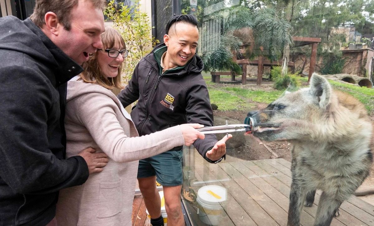 National Zoo and Aquarium Tour for Four, Bunnings Voucher and Westfield Voucher - Hero image