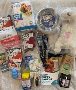 Win 1 of 2 Pet Circle Puppy Packs! - Packed with Essentials for Your New Puppy! - Hero Image