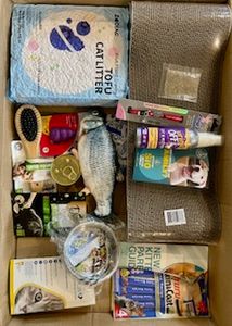 Win The Purr-fect Pet Circle Kitten Bundle! - Packed with Essentials for Your New Feline Friend! - Hero Image