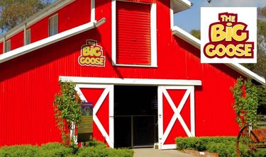 The Big Goose Adventure Farm - Win 2 Children's Entry Vouchers! - Hero Image