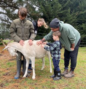 Win One of Five, Wilindi Estate Farm Tours. An Experience to Remember with Farmer Mim! - Hero Image