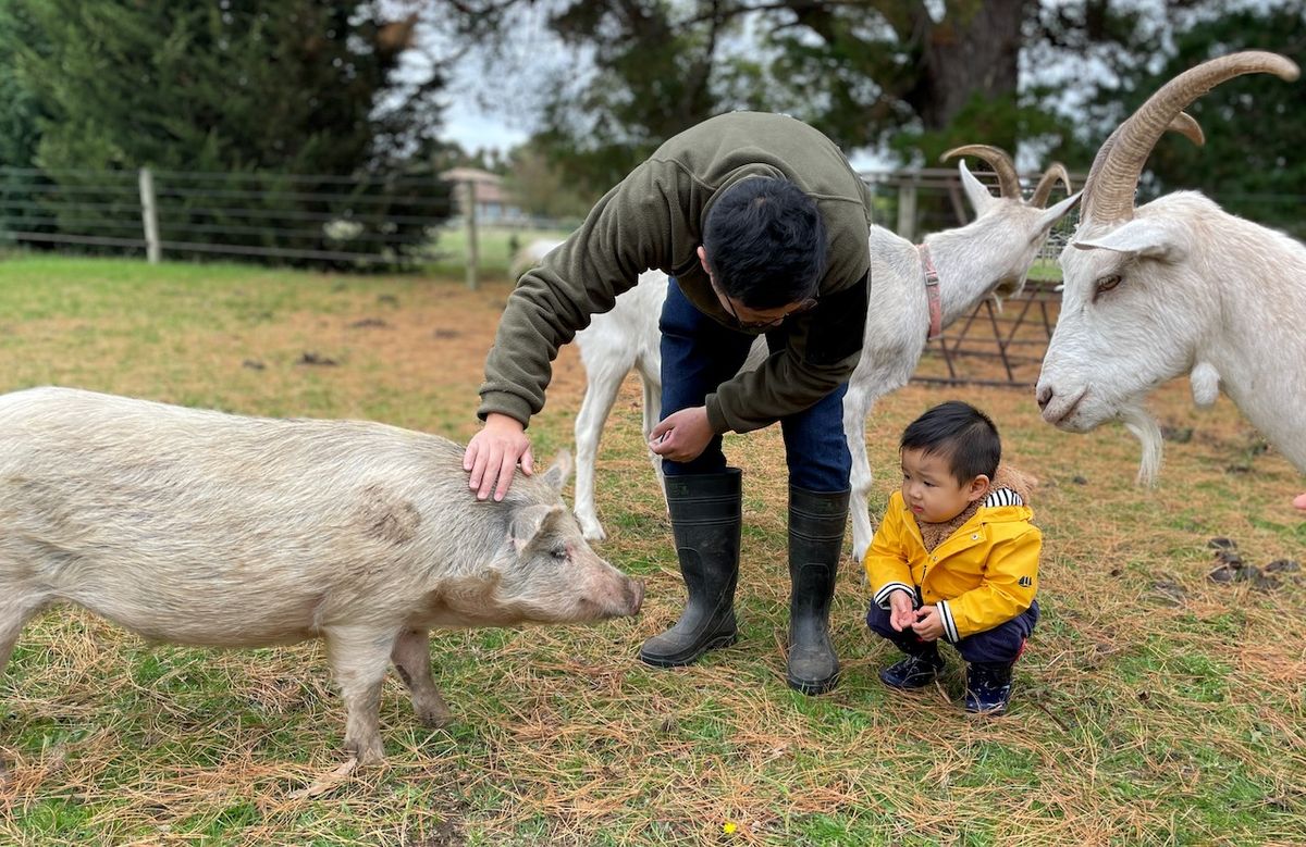 Win one of five, Wilindi Estate Farm Tours.  An Experience to Remember with Farmer Mim! - Hero image