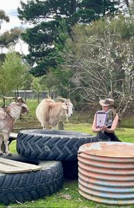 Win One of Five Sets of The Farmer Mim Book Sets & Explore The Adventures of Her Rescue Animals! - Hero Image