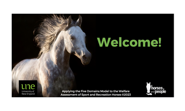 Online Course - Applying the Five Domains Model to the Welfare Assessment of Horses. - Hero Image