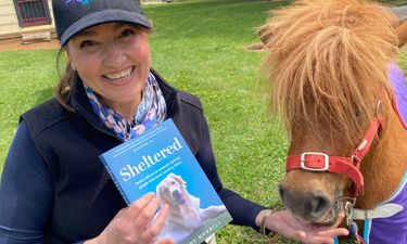 Sheltered by Author Melody Horrill - Hero Image