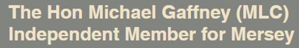 The Hon Michael Gaffney (MLC)