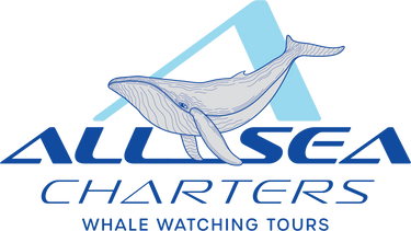 Allsea Charters Whale Watching - Logo
